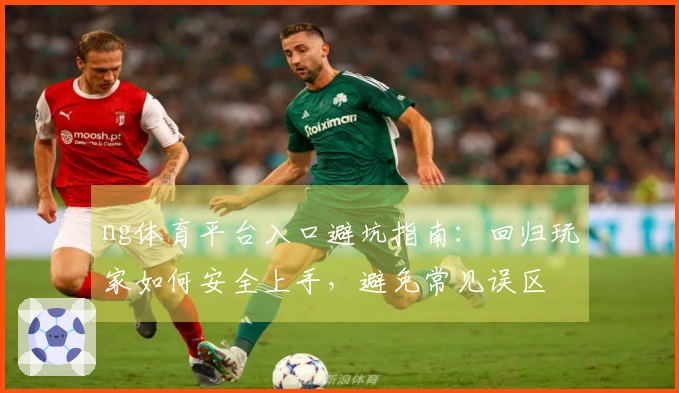 ng体育平台入口避坑指南：回归玩家如何安全上手，避免常见误区
