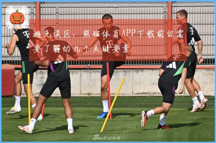 避免误区，熊猫体育APP下载前你需要了解的几个关键要素