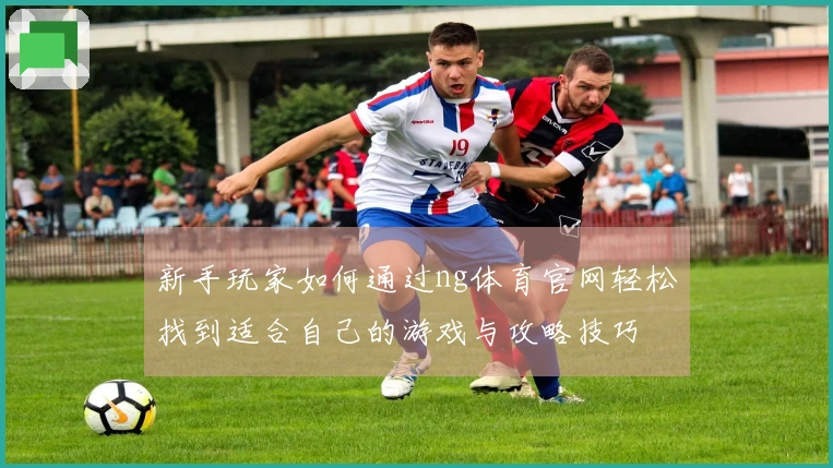新手玩家如何通过ng体育官网轻松找到适合自己的游戏与攻略技巧