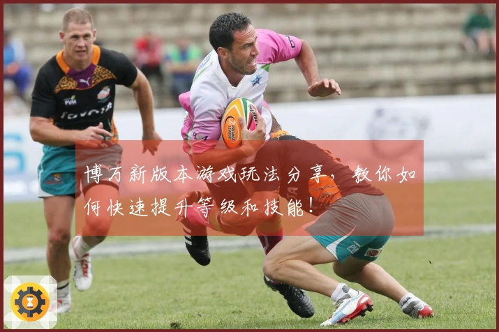 博万新版本游戏玩法分享，教你如何快速提升等级和技能！