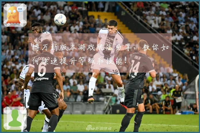 博万新版本游戏玩法分享，教你如何快速提升等级和技能！