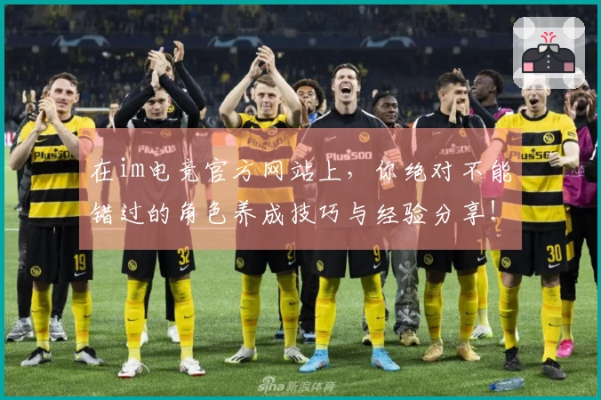 在im电竞官方网站上，你绝对不能错过的角色养成技巧与经验分享！